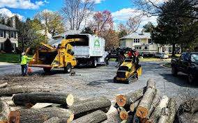 Princes Lakes, IN Tree Services Company